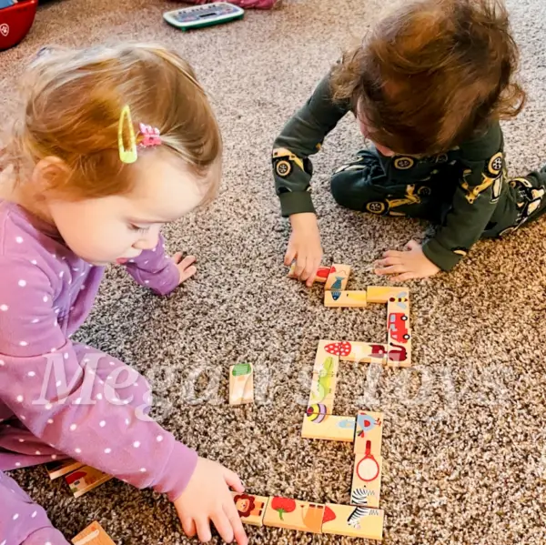 MegansToys Animal Picture Dominoes