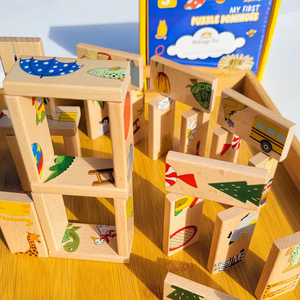 Montessori Wooden Domino Puzzle